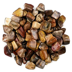 Pachamama Essentials Tumbled Petrified Wood Petrified Wood Stone Fossilized Wood (20-25mm) 5 Pieces
